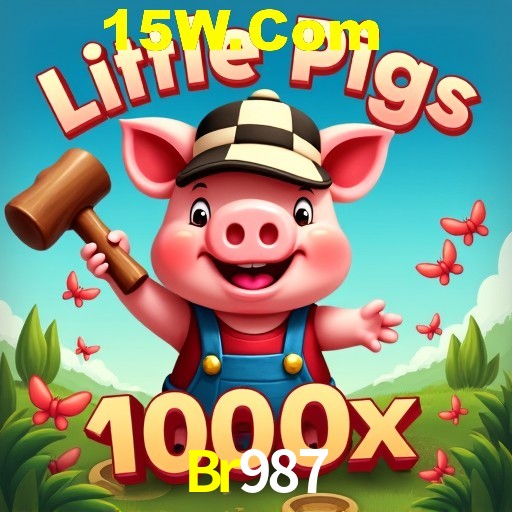 Flash Promotion Br987